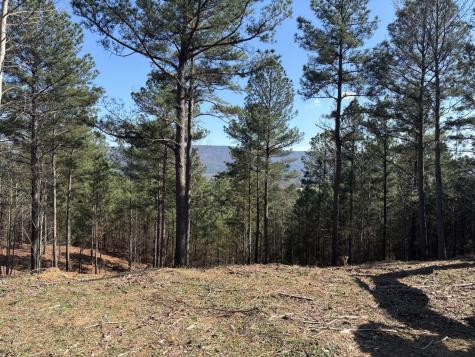 0 County Road 609 Etowah TN 37331