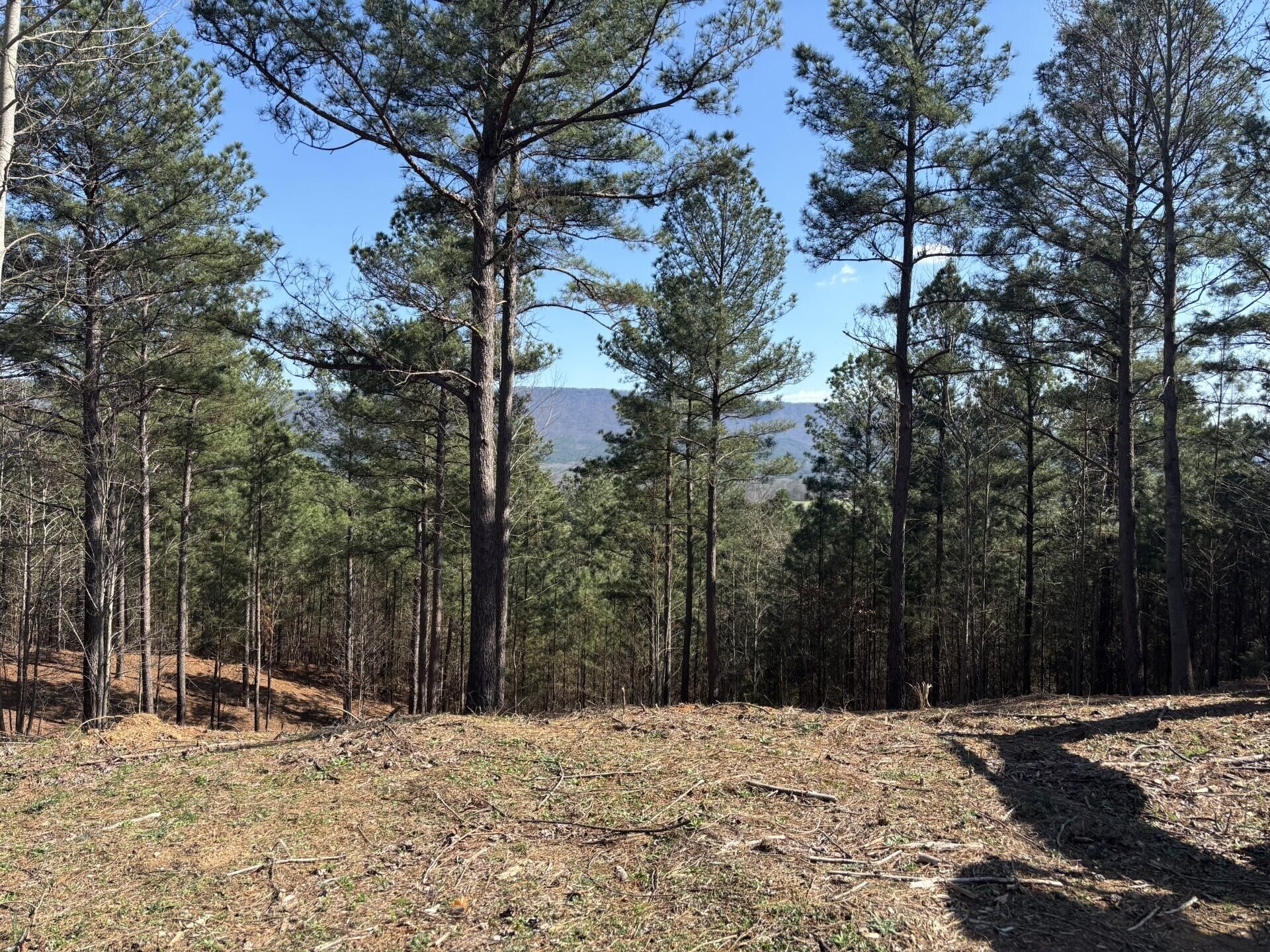 0 County Road 609 Etowah TN 37331
