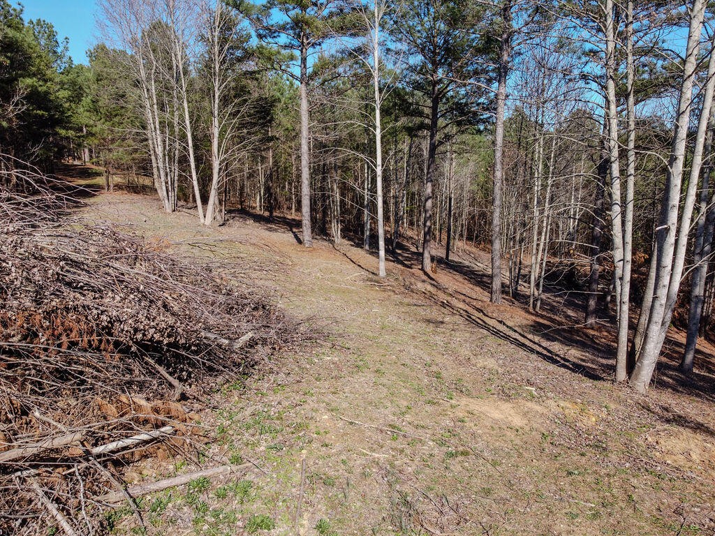 0 County Road 609 Etowah TN 37331