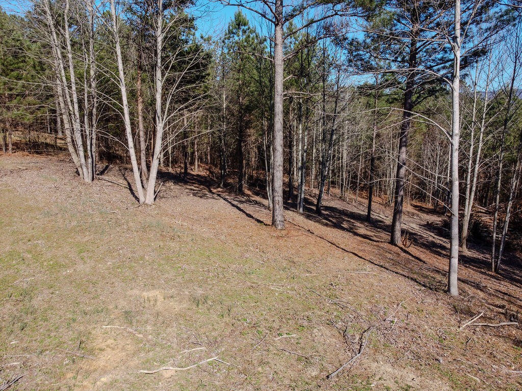 0 County Road 609 Etowah TN 37331