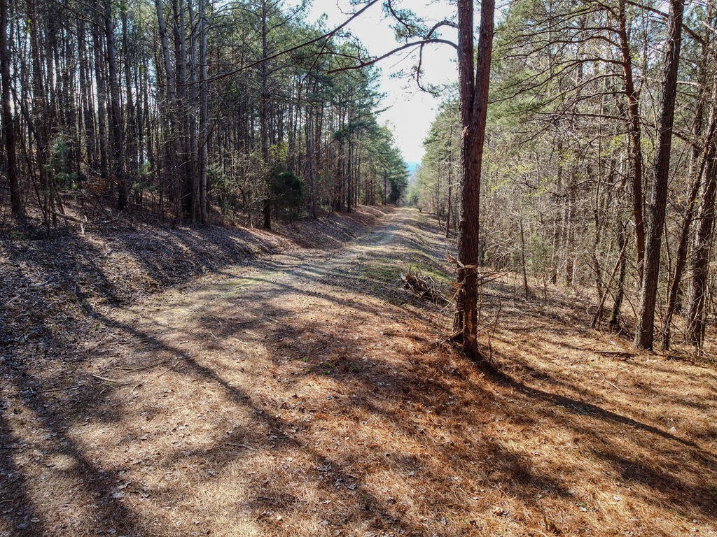 0 County Road 609 Etowah TN 37331