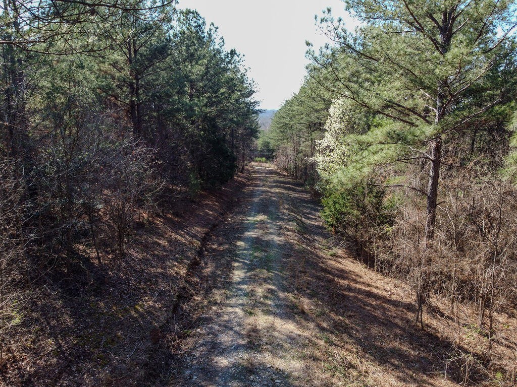 0 County Road 609 Etowah TN 37331