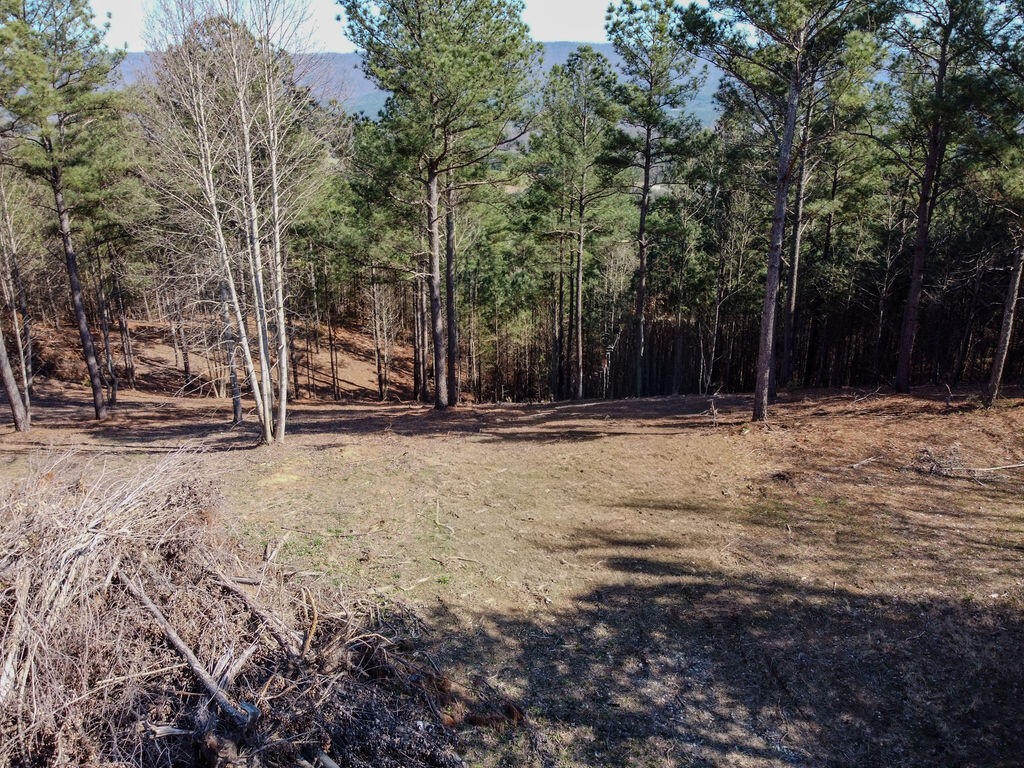 0 County Road 609 Etowah TN 37331