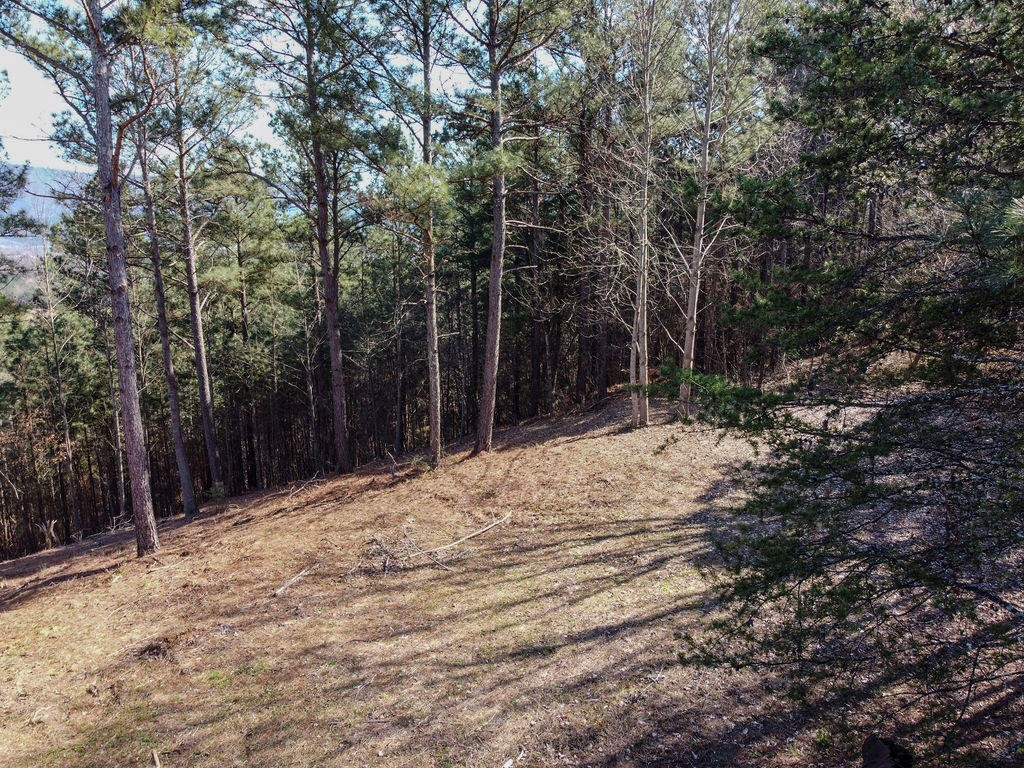0 County Road 609 Etowah TN 37331