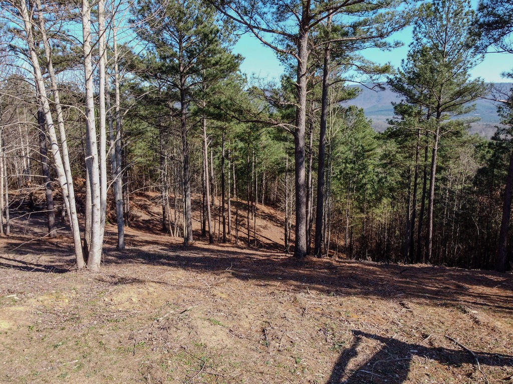 0 County Road 609 Etowah TN 37331