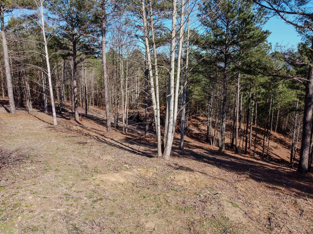 0 County Road 609 Etowah TN 37331