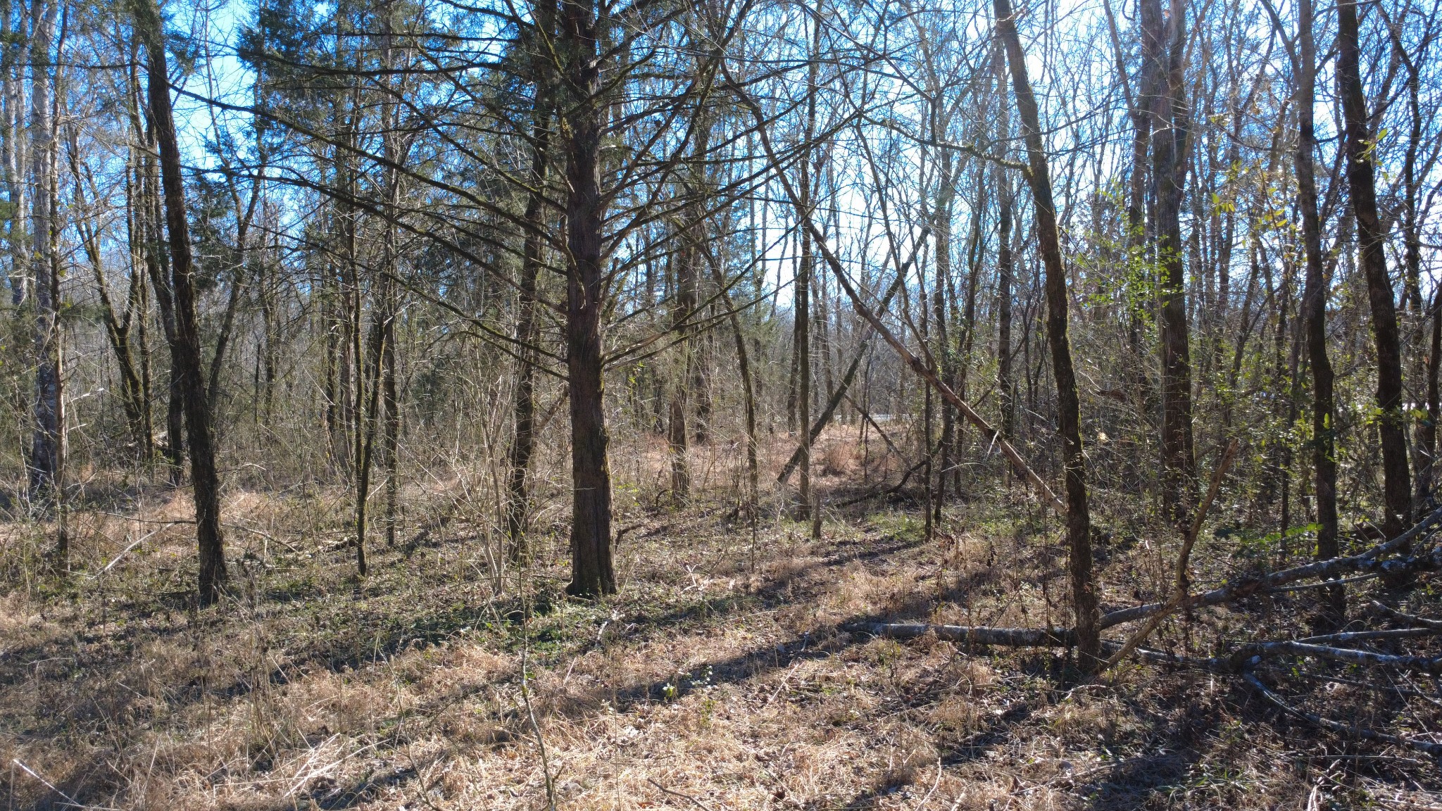 0 Carters Creek Pike Columbia TN 38401