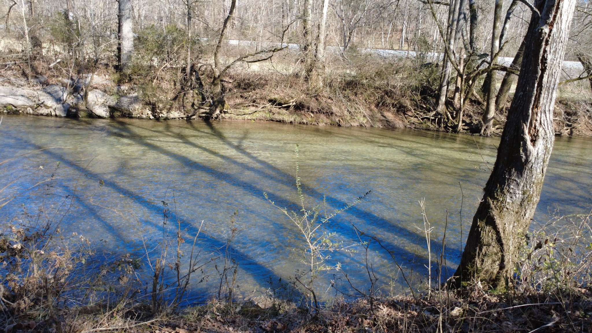 0 Carters Creek Pike Columbia TN 38401