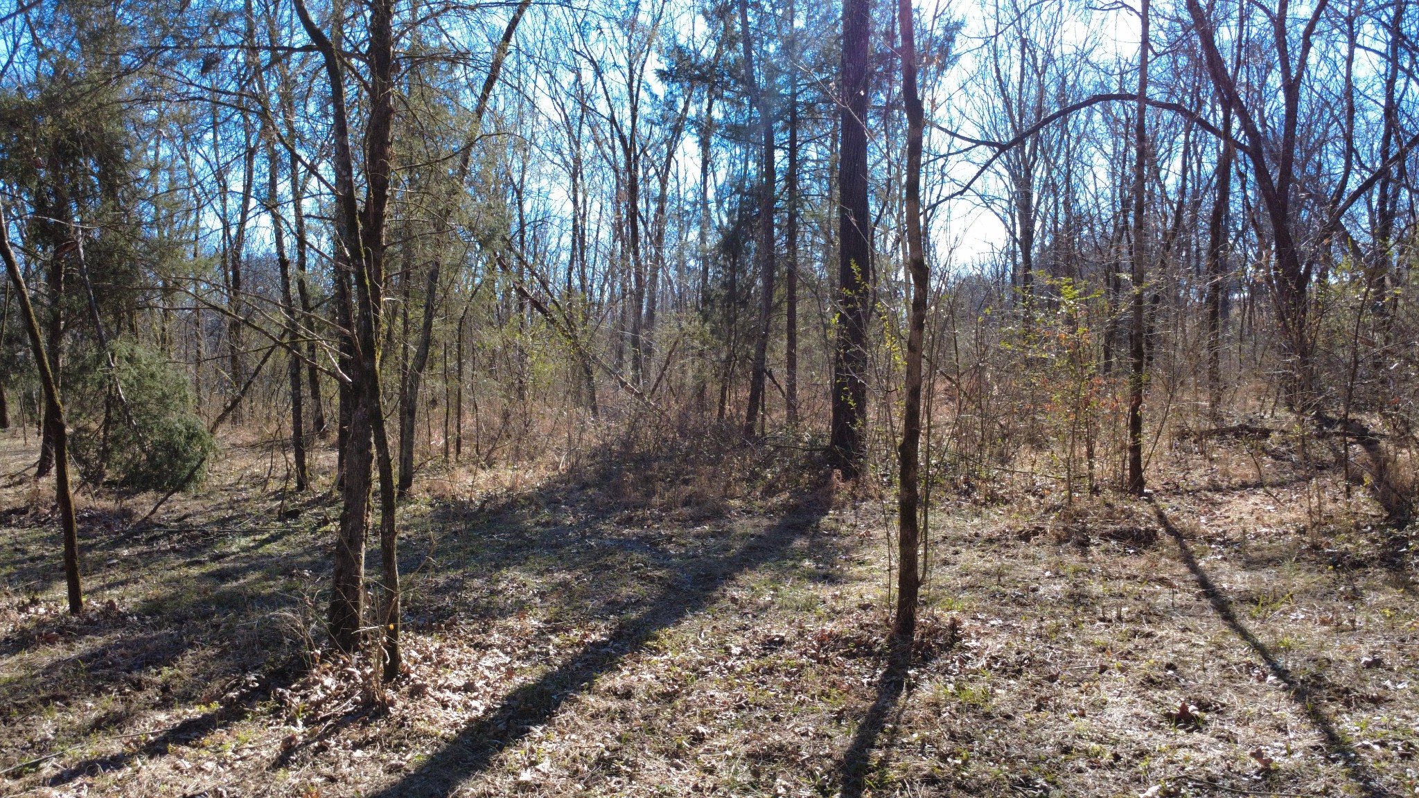 0 Carters Creek Pike Columbia TN 38401