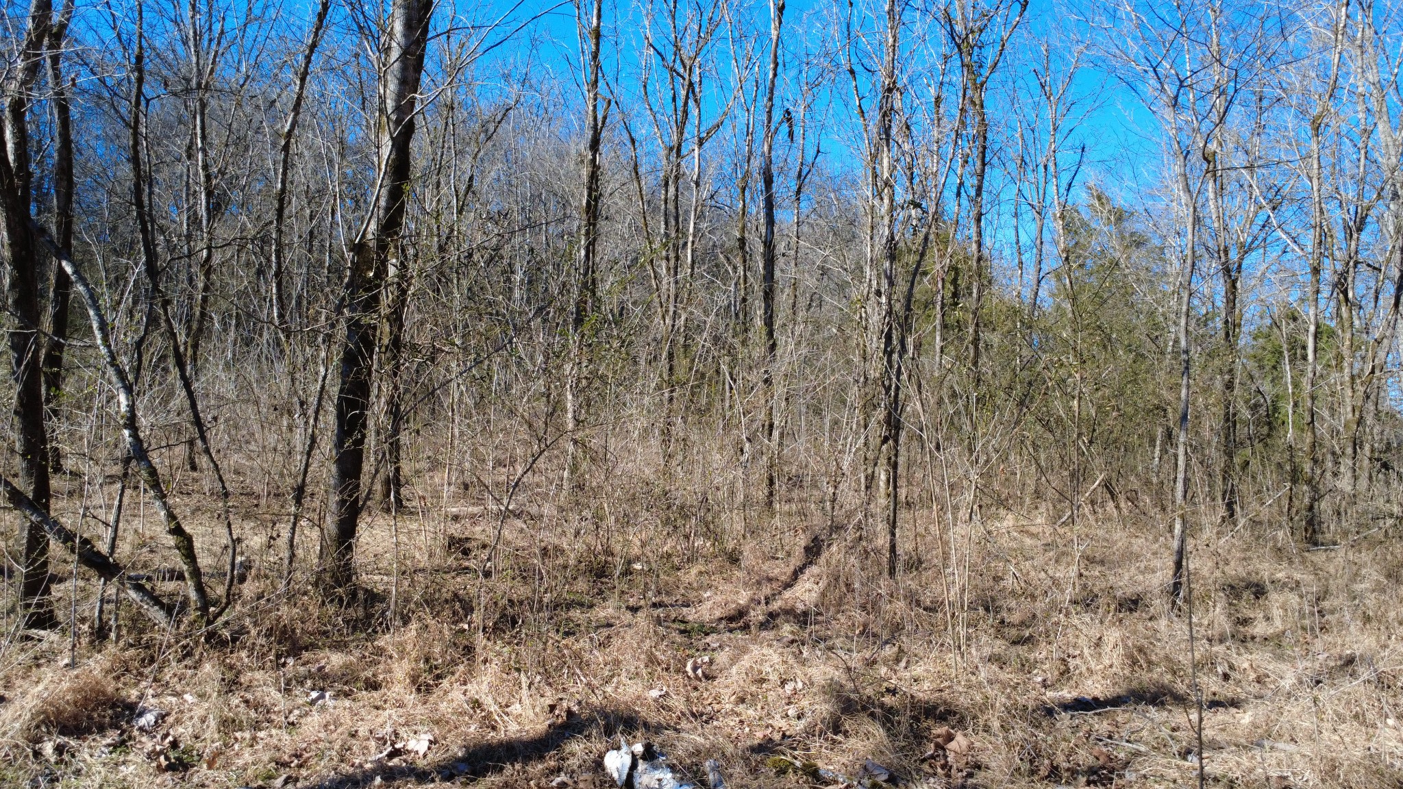 0 Carters Creek Pike Columbia TN 38401