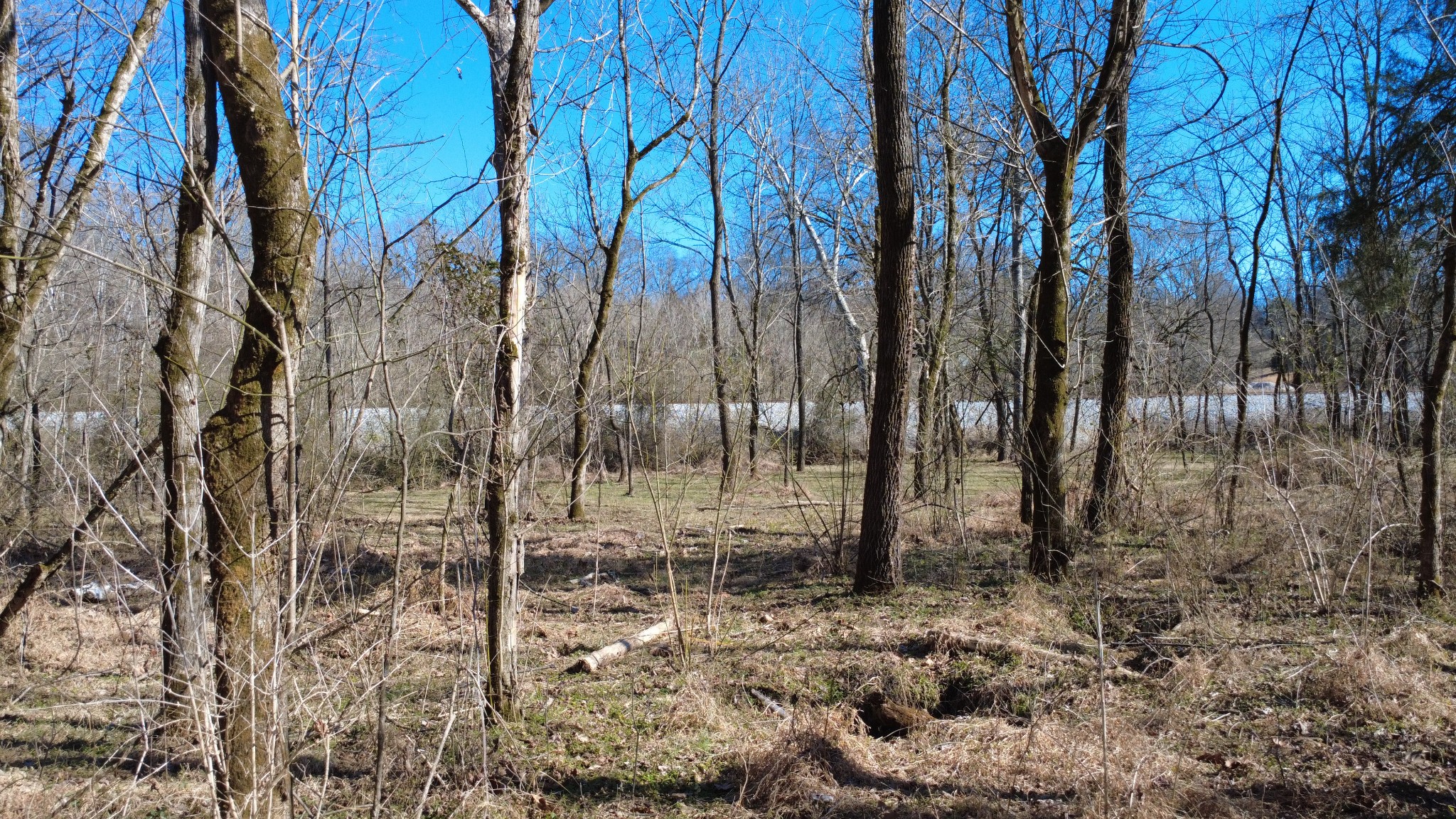 0 Carters Creek Pike Columbia TN 38401