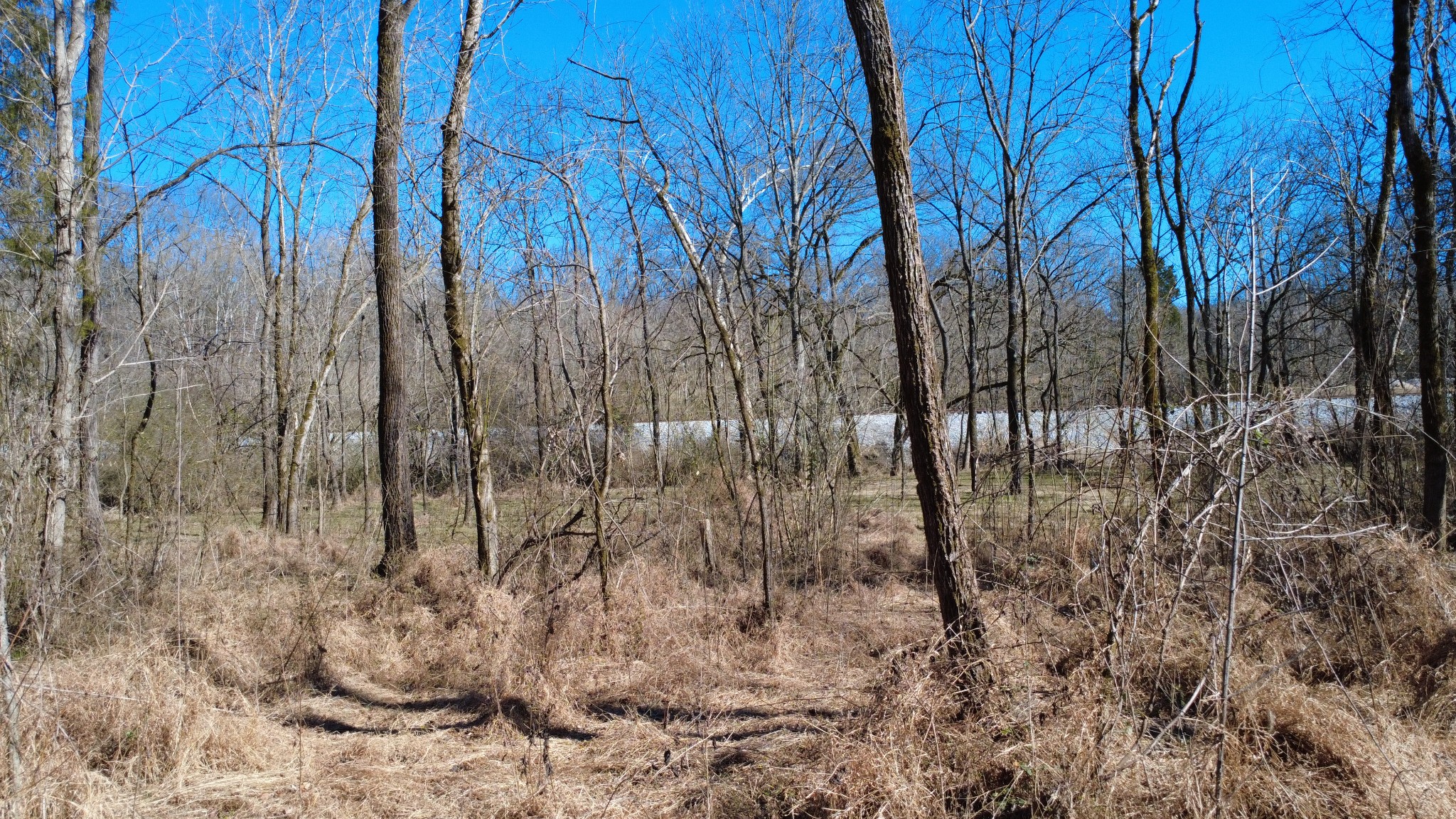 0 Carters Creek Pike Columbia TN 38401
