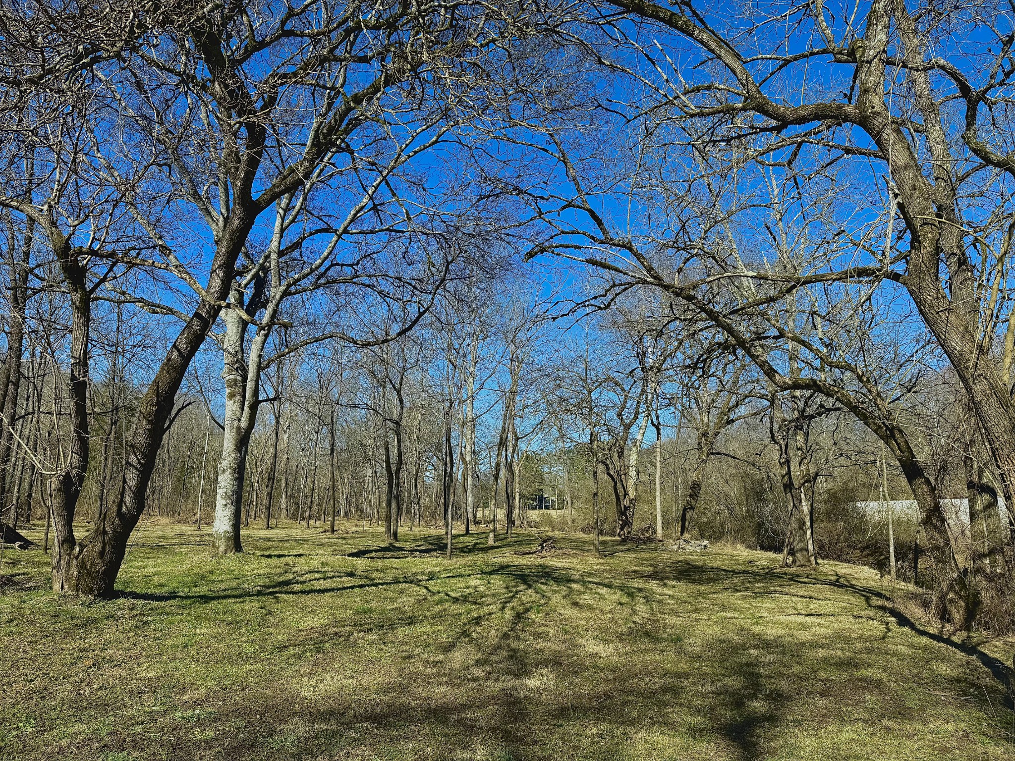 0 Carters Creek Pike Columbia TN 38401