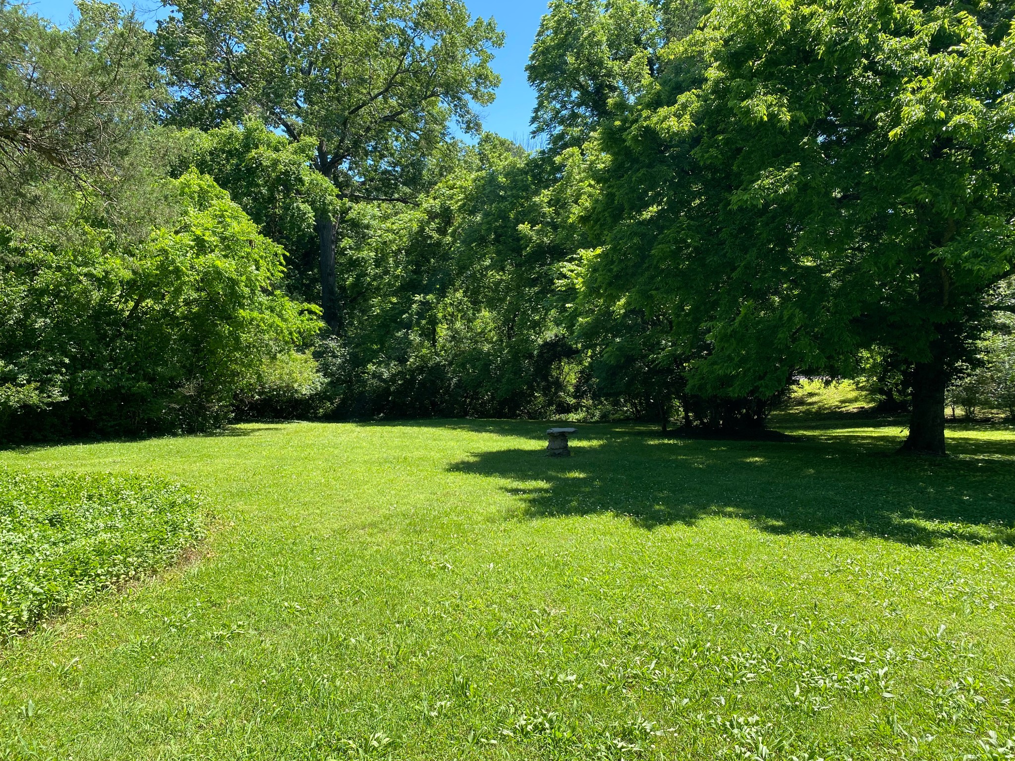 0 Grapevine Avenue Madison TN 37115