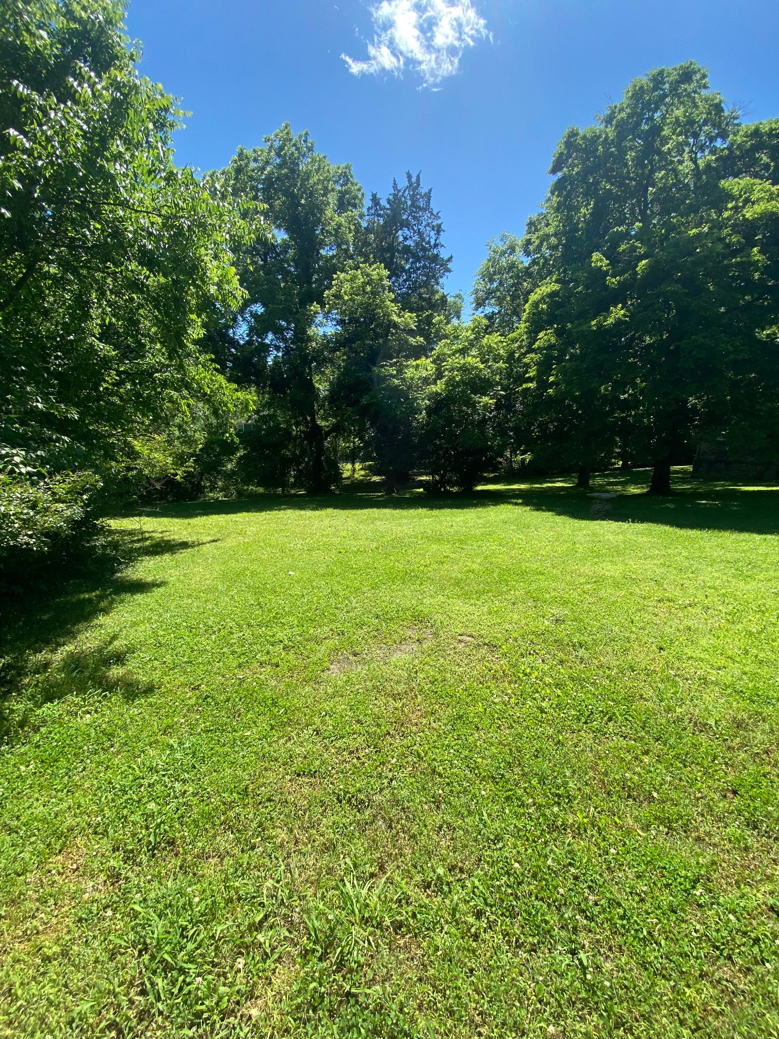 0 Grapevine Avenue Madison TN 37115