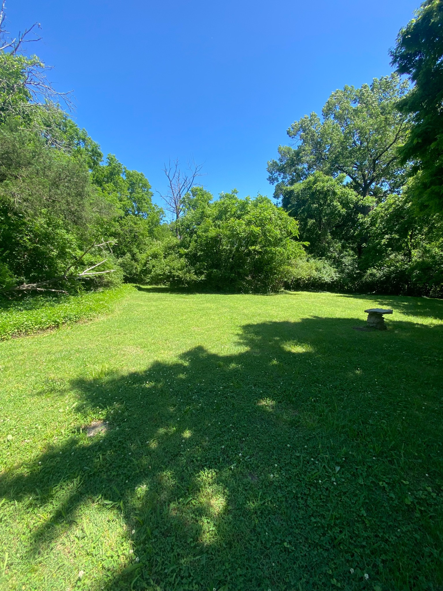 0 Grapevine Avenue Madison TN 37115