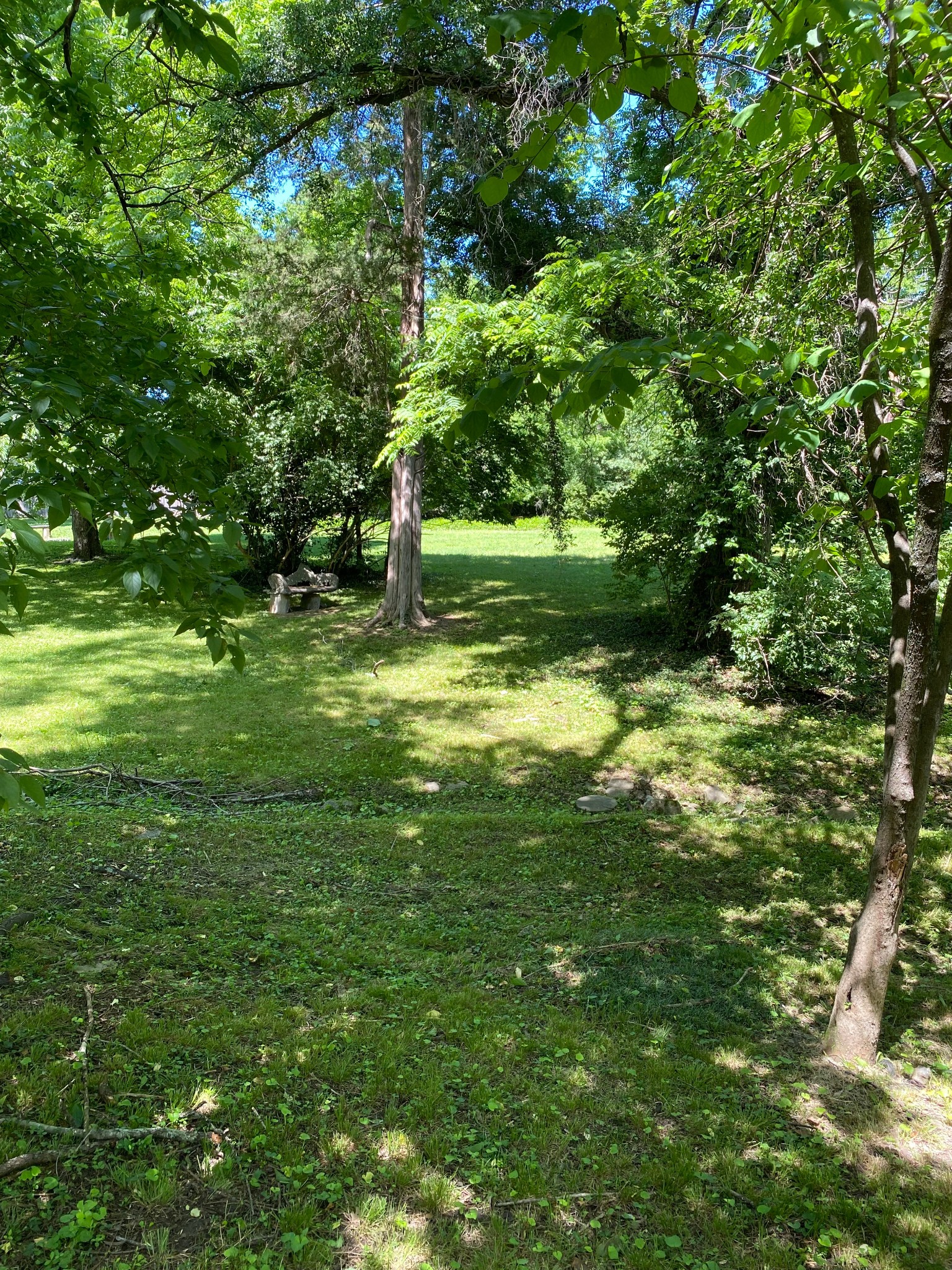 0 Grapevine Avenue Madison TN 37115