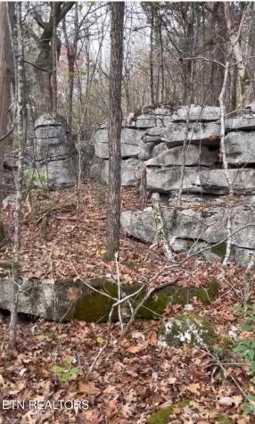 1644 Walker Cove Road Sparta TN 38583