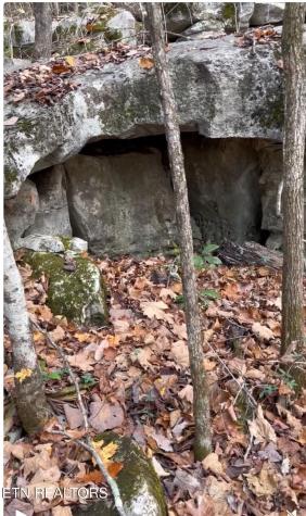 1644 Walker Cove Road Sparta TN 38583