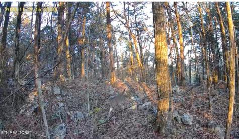 1644 Walker Cove Road Sparta TN 38583