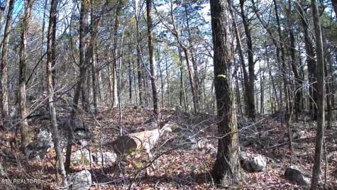 1644 Walker Cove Road Sparta TN 38583