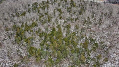 1644 Walker Cove Road Sparta TN 38583