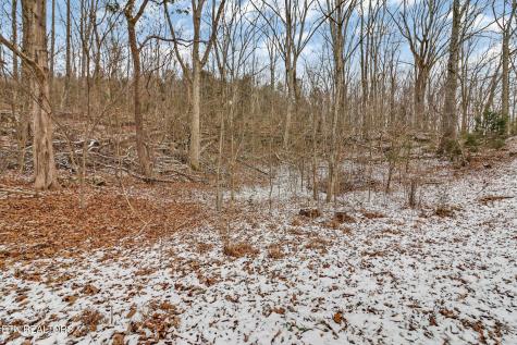 1644 Walker Cove Road Sparta TN 38583