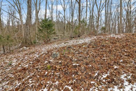 1644 Walker Cove Road Sparta TN 38583