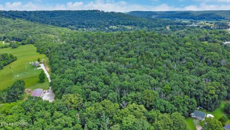 1644 Walker Cove Road Sparta TN 38583