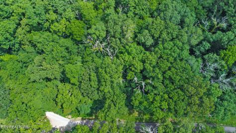 1644 Walker Cove Road Sparta TN 38583