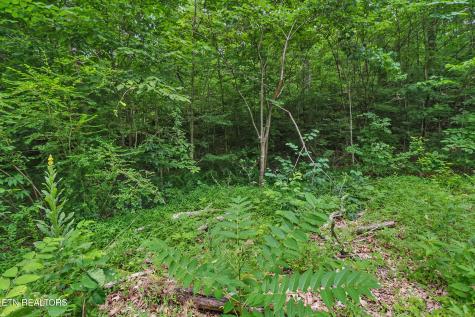 1644 Walker Cove Road Sparta TN 38583