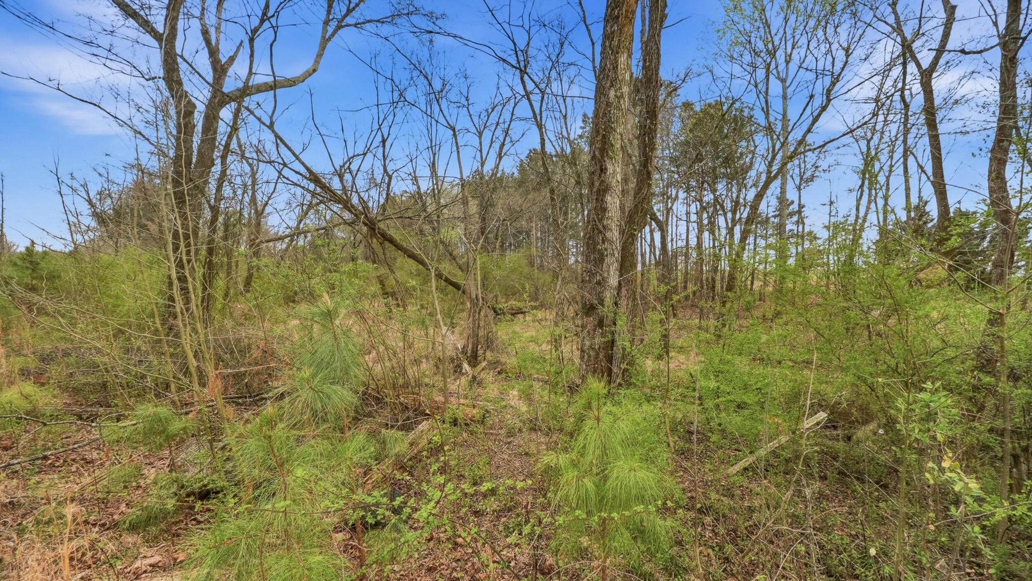 0 Bates Street, SE Cleveland TN 37311