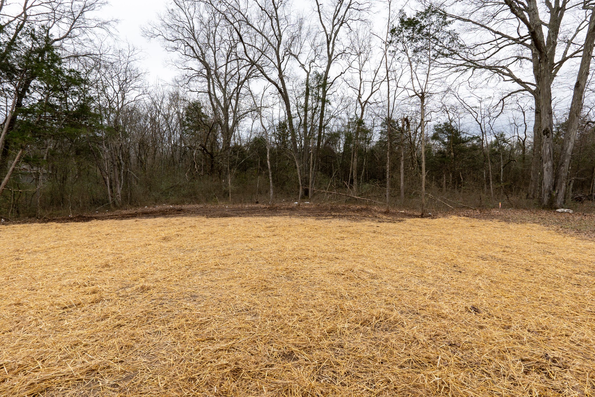 3007 Stonehorn Drive Bell Buckle TN 37020