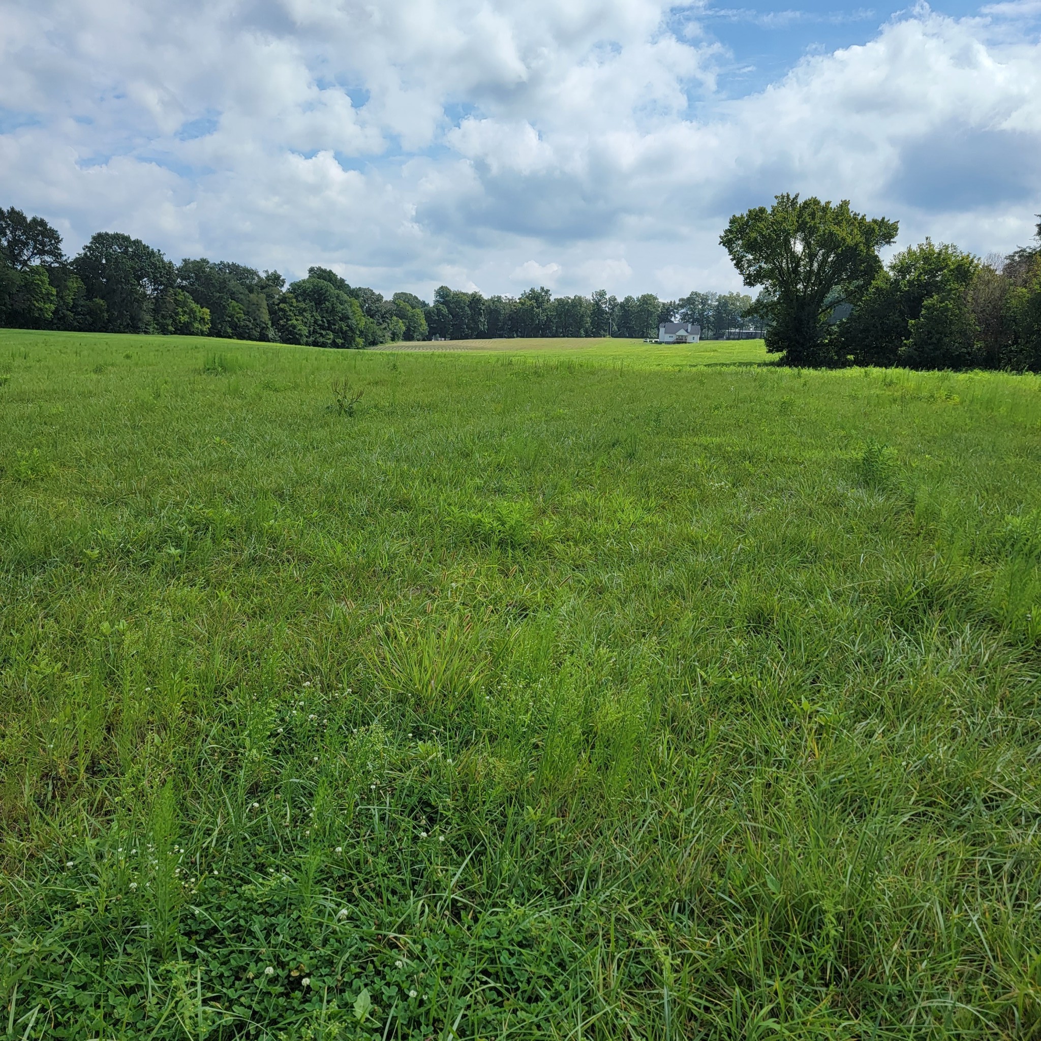 0 Red River School Road Portland TN 37148