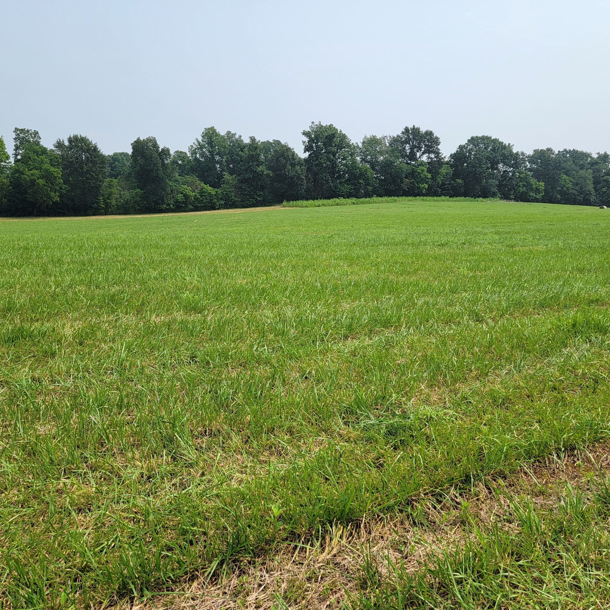 0 Red River School Road Portland TN 37148