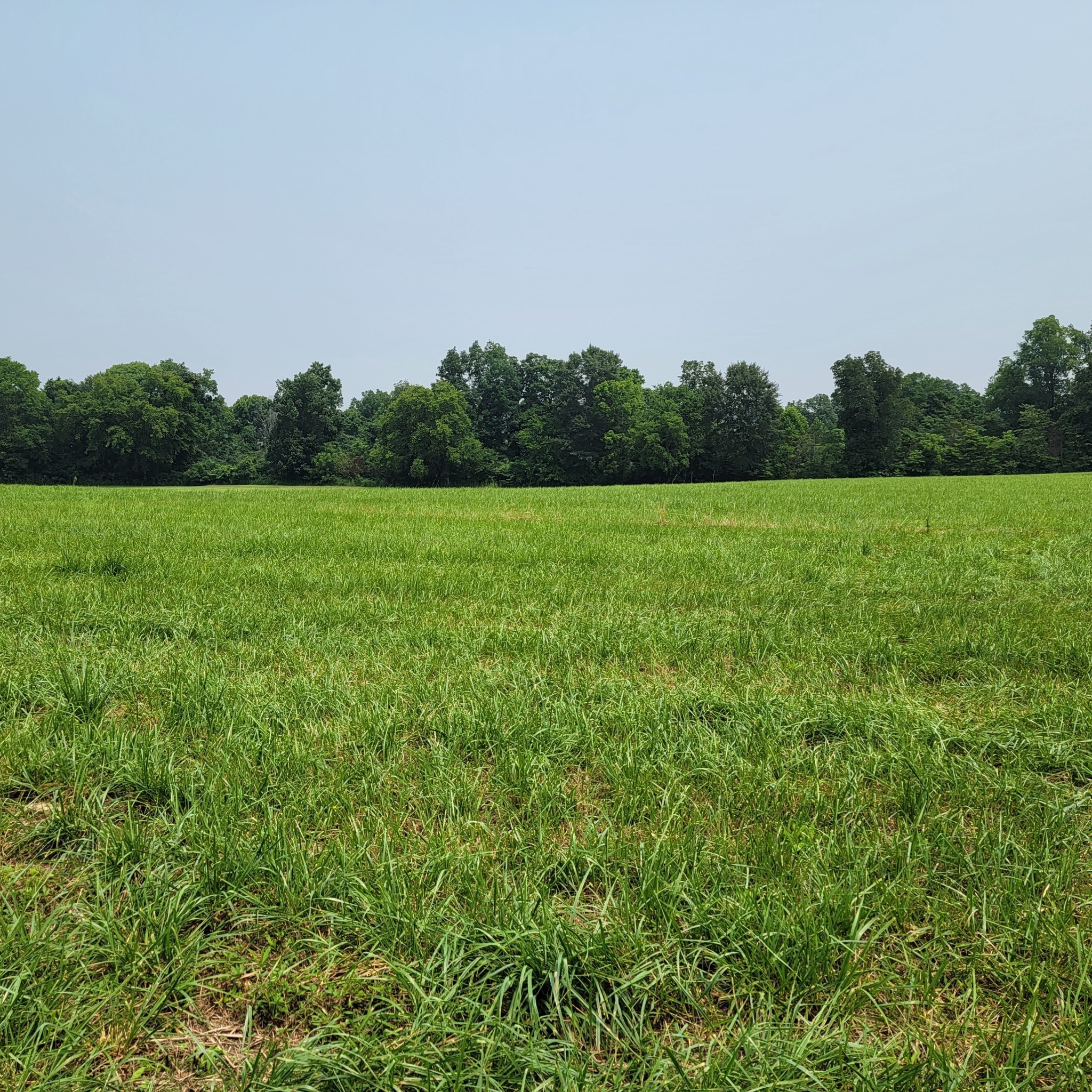 0 Red River School Road Portland TN 37148