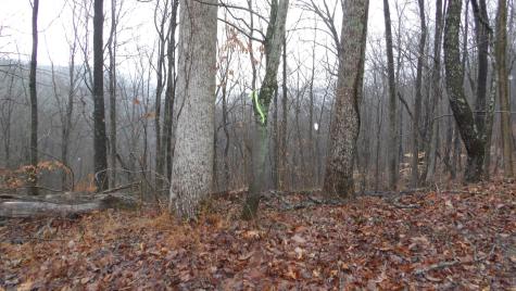 0 Savannah Drive Smithville TN 37166