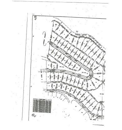 0 Savannah Drive Smithville TN 37166