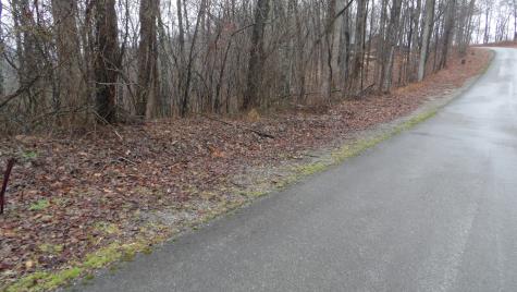0 Savannah Drive Smithville TN 37166