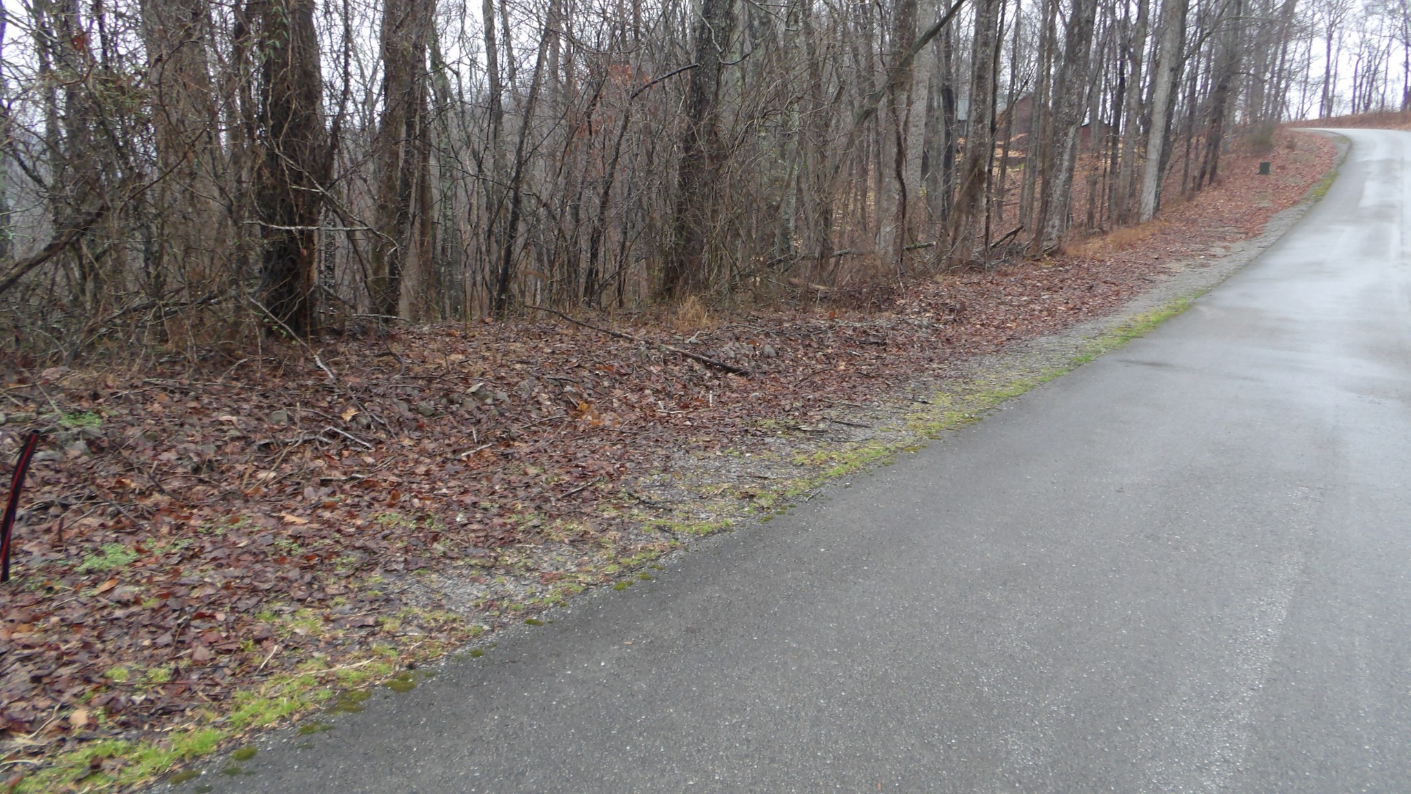 0 Savannah Drive Smithville TN 37166