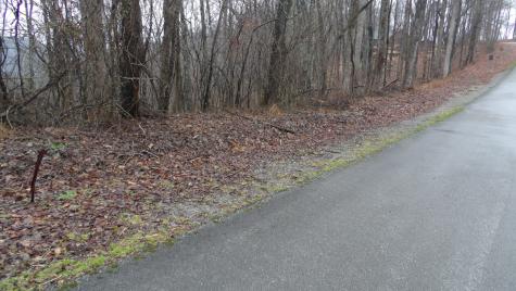 0 Savannah Drive Smithville TN 37166