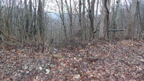 0 Savannah Drive Smithville TN 37166