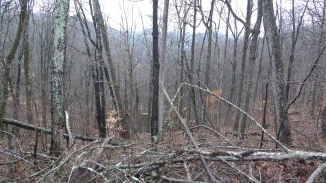 0 Savannah Drive Smithville TN 37166