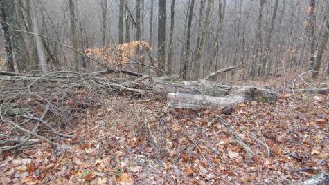 0 Savannah Drive Smithville TN 37166