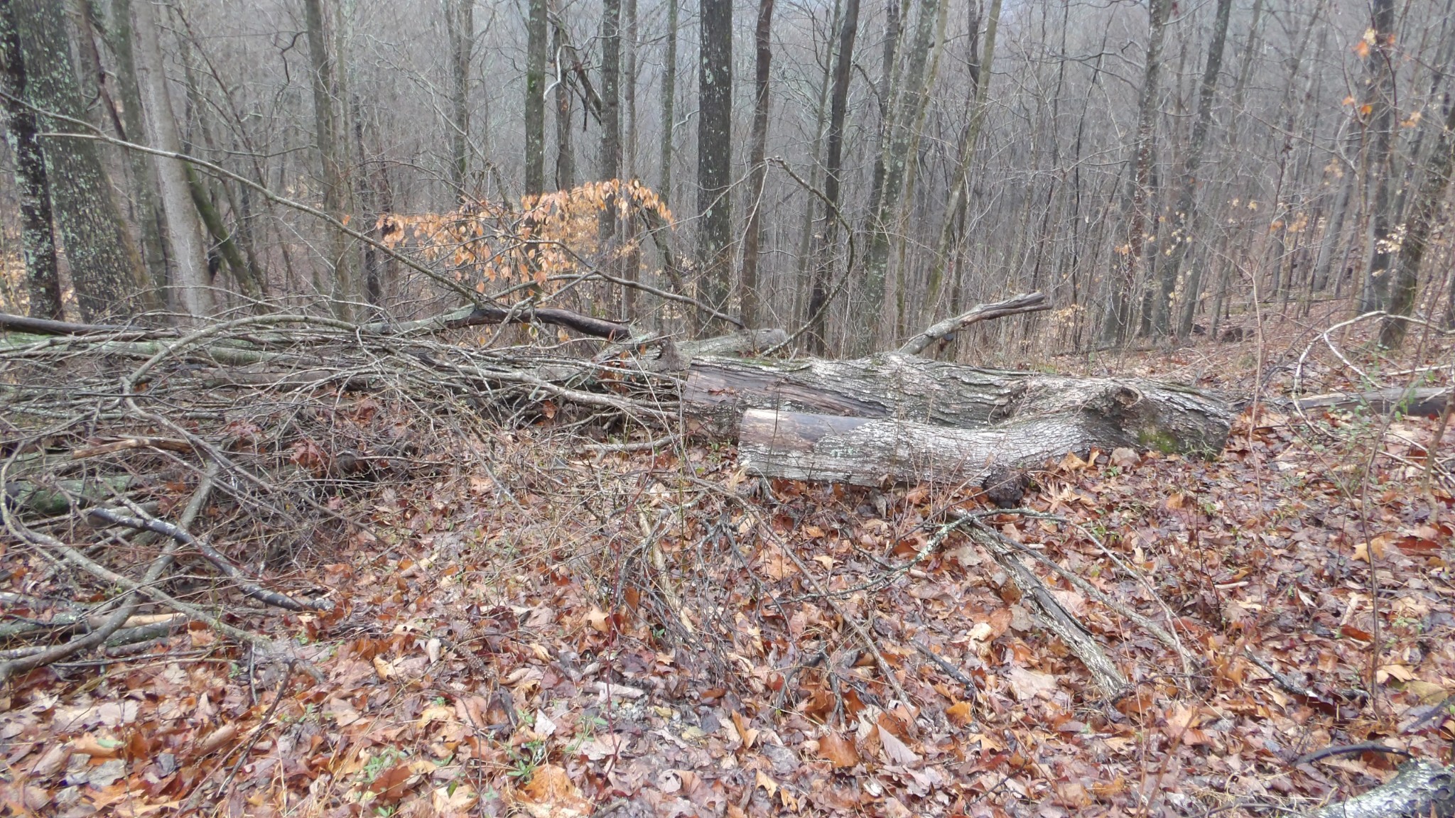 0 Savannah Drive Smithville TN 37166