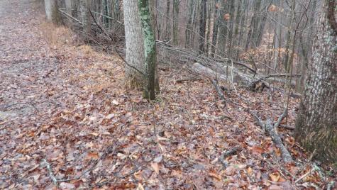 0 Savannah Drive Smithville TN 37166