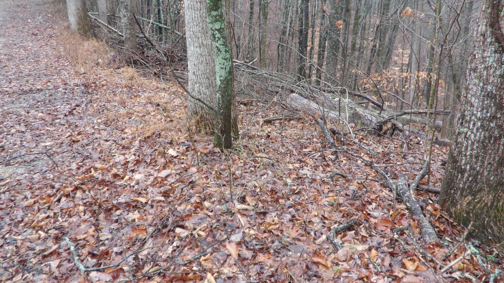 0 Savannah Drive Smithville TN 37166