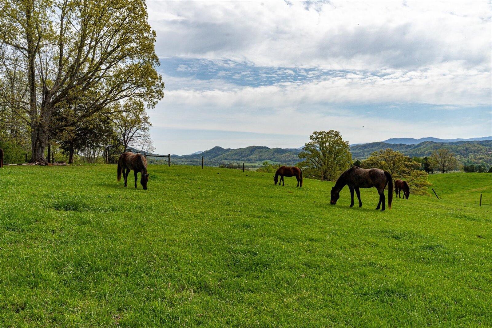 180 Mecca Pike Tellico Plains TN 37385