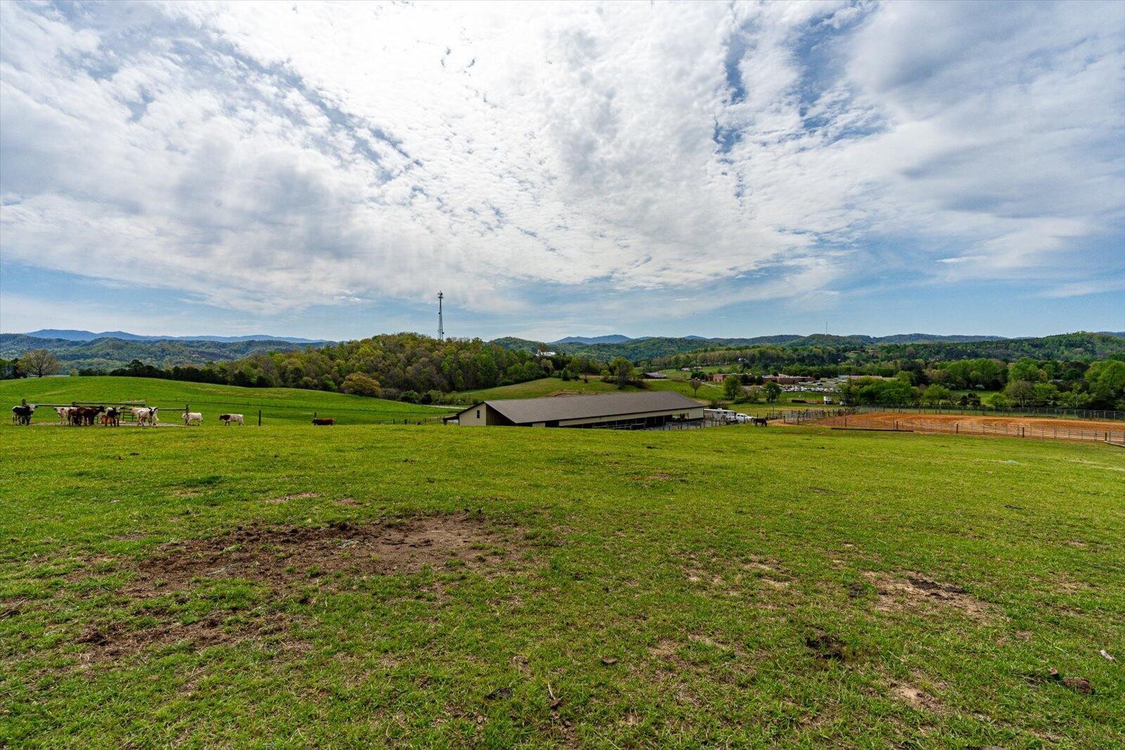 180 Mecca Pike Tellico Plains TN 37385