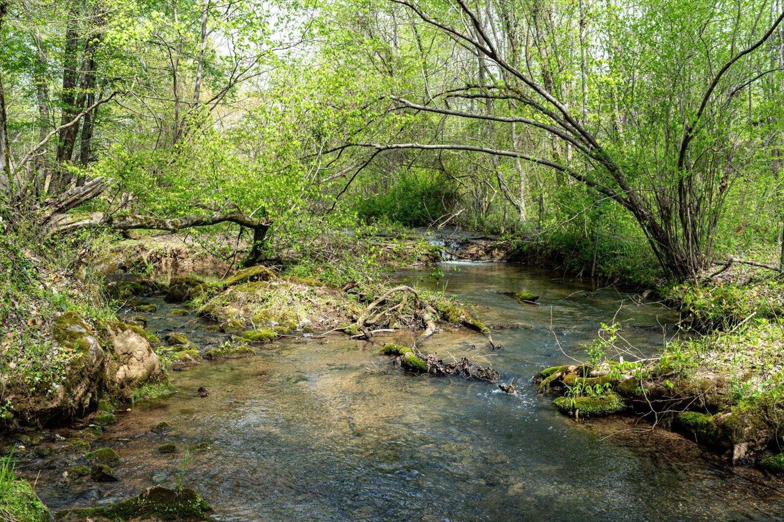 180 Mecca Pike Tellico Plains TN 37385